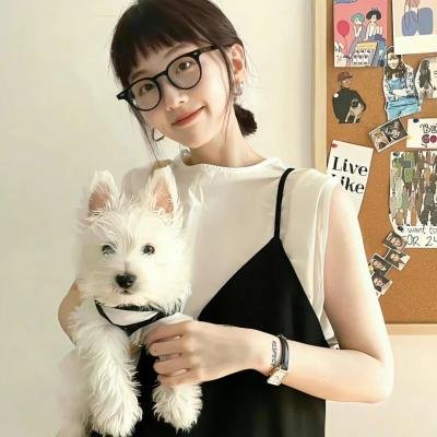拦截火狐狸